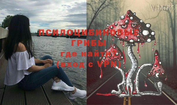 герыч Новодвинск