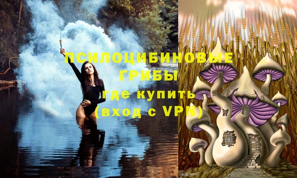 прущие крисы Богданович