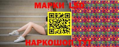 прущие грибы Будённовск