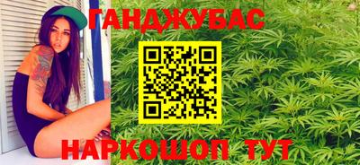 прущие грибы Будённовск