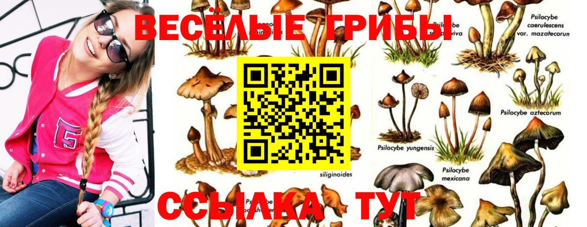 Псилоцибиновые грибы Psilocybe  Вход с VPN  Псилоцибиновые грибы прущие грибы  магазин    Ижевск 