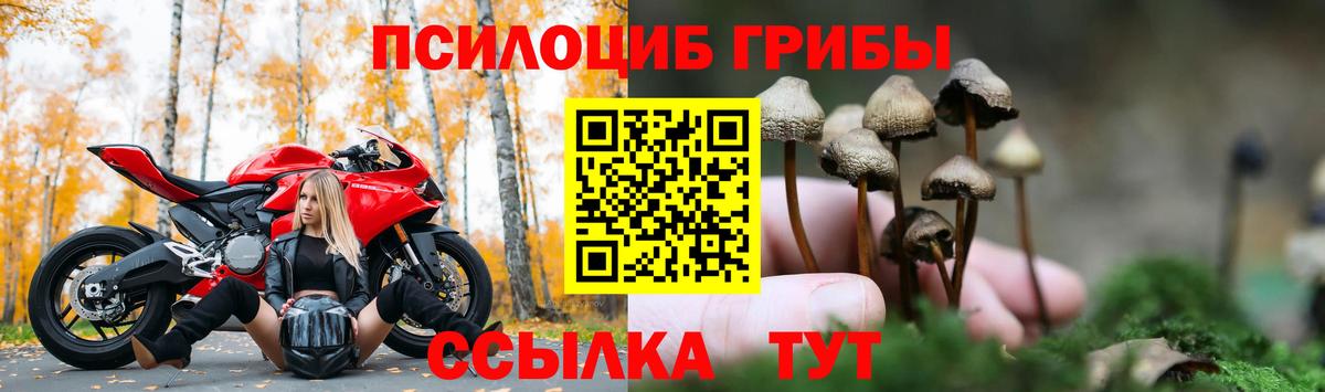 Псилоцибиновые грибы мухоморы  Ижевск 