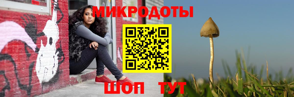 Галлюциногенные грибы мицелий Ижевск